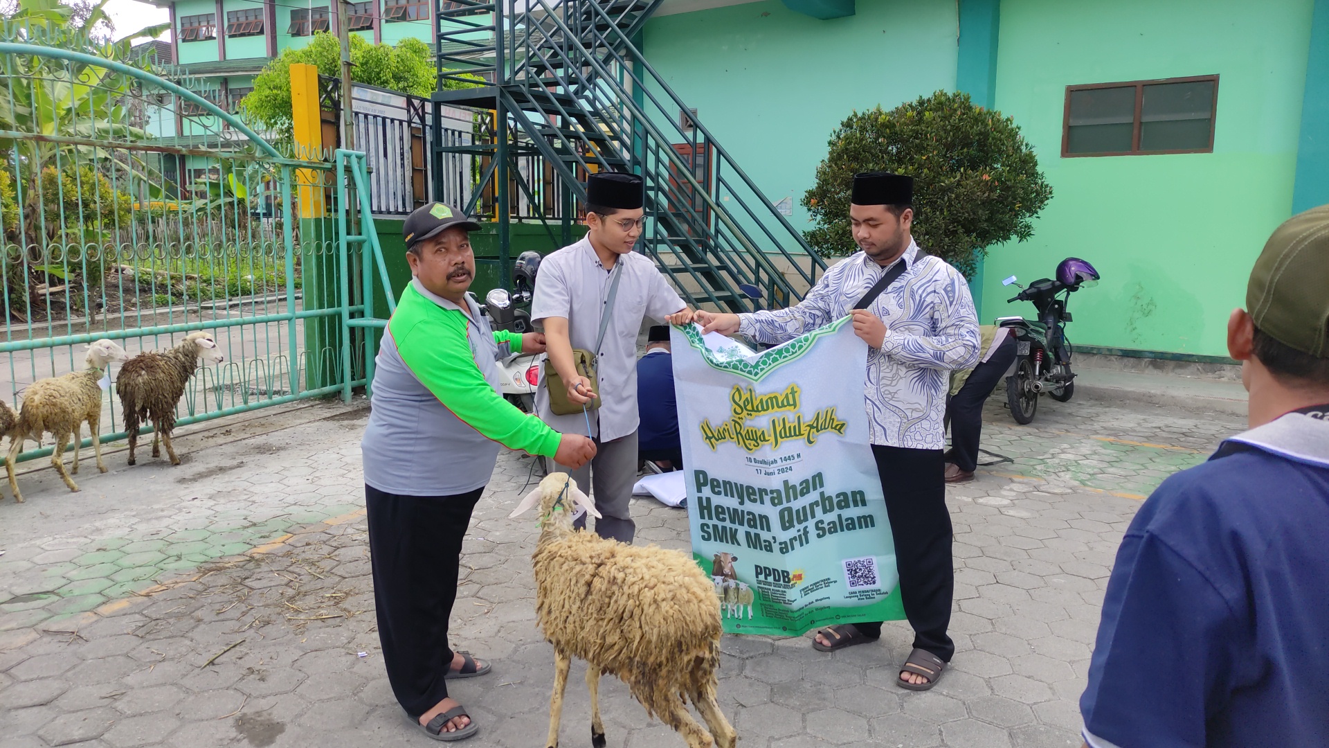 Penyembelihan dan Pembagian Hewan Qurban Idul Adha 1445 H Penyembelihan dan Pembagian Hewan Qurban Idul Adha 1445 H