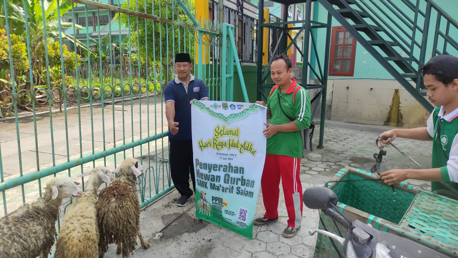 Penyembelihan dan Pembagian Hewan Qurban Idul Adha 1445 H Penyembelihan dan Pembagian Hewan Qurban Idul Adha 1445 H